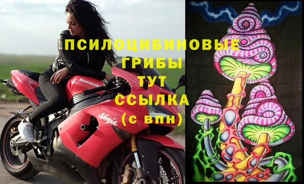 мдпв Липки