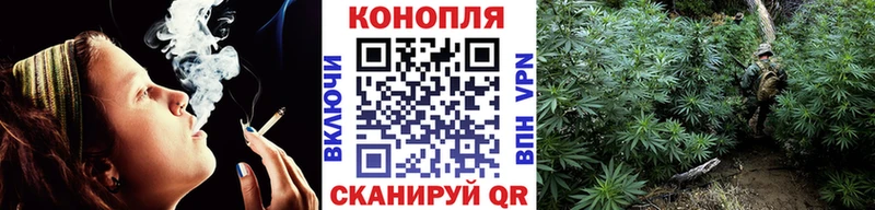 Бошки Шишки AK-47  Купить закладки  Алексин 